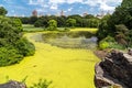 Turtle Pond in Central Park, New York City Royalty Free Stock Photo