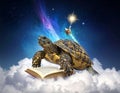 Turtle Reading in the Clouds Royalty Free Stock Photo