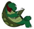 Turtle Reading Story Book Cartoon Color Illustration Royalty Free Stock Photo