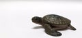 Turtle realistic plastic toy Royalty Free Stock Photo