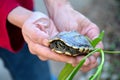 The turtle release the bird and fish