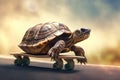 Turtle riding skateboard on blurred background
