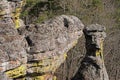 Turtle Rock on a Forest Cliff