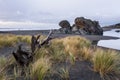 Turtle rock, Gold Beach, Oregon Royalty Free Stock Photo