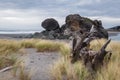 Turtle rock, Gold Beach, Oregon Royalty Free Stock Photo
