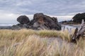 Turtle rock, Gold Beach, Oregon Royalty Free Stock Photo