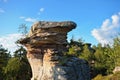 Turtle rock in Nature Stone city, Central Russia, Ural