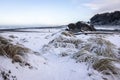 Turtle rock with snow, Oregon Coast.