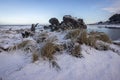 Turtle rock with snow, Oregon Coast.