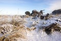 Oregon Coast, Turtle rock with snow.