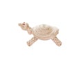 Turtle rope knitting toy isolated on white background and clipping path , handmade local toys