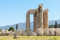 Turtle and Colums of temple of Olympian Zeus Royalty Free Stock Photo