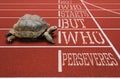 Turtle running athletic track motivational quote