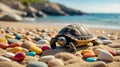 Adorable Turtle on a Colorful Beach with Smooth Stones Royalty Free Stock Photo