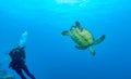 Turtle and Scuba diver with camera Royalty Free Stock Photo