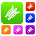 Turtle set collection Royalty Free Stock Photo