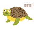 Turtle with shell cartoon childish book character Royalty Free Stock Photo