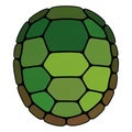 Turtle shell, featuring a geometric pattern of pentagonal and hexagonal Royalty Free Stock Photo