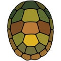 Turtle shell pattern composed of irregular hexagonal and pentagonal Royalty Free Stock Photo