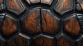 Turtle shell texture with copy space. Close-up turtle pattern. Reptile shell design. Detailed turtle shell close-up. Royalty Free Stock Photo