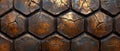 Turtle shell texture with copy space. Close-up turtle pattern. Reptile shell design. Detailed turtle shell close-up. Royalty Free Stock Photo