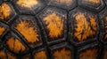 Turtle shell texture with copy space. Close-up turtle pattern. Reptile shell design. Detailed turtle shell close-up. Royalty Free Stock Photo