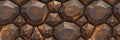 Turtle shell texture with copy space. Close-up turtle pattern. Reptile shell design. Detailed turtle shell close-up. Royalty Free Stock Photo