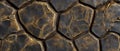 Turtle shell texture with copy space. Close-up turtle pattern. Reptile shell design. Detailed turtle shell close-up. Royalty Free Stock Photo