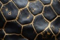 Turtle shell texture with copy space. Close-up turtle pattern. Reptile shell design. Detailed turtle shell close-up. Royalty Free Stock Photo