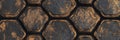 Turtle shell texture with copy space. Close-up turtle pattern. Reptile shell design. Detailed turtle shell close-up. Royalty Free Stock Photo