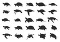 Turtle silhouette, Sea turtle silhouettes, Turtle clipart, Underwater animal set Royalty Free Stock Photo