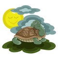 Turtle Royalty Free Stock Photo