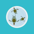 Turtle soup isolated. Delicatessen food on blue background. Sea