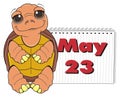 Turtle stand near the calendar