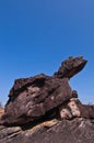 Turtle stone with blue sky Royalty Free Stock Photo