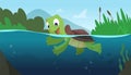 Turtle swimming. river or swamp life. Vector reptile turtle cartoon background