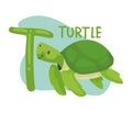 turtle and t letter