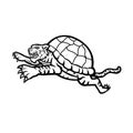 Turtle Tiger Leaping Side Black and White Royalty Free Stock Photo