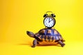 A turtle is on top of a clock with the hands at 3:00 and 6:00 Royalty Free Stock Photo