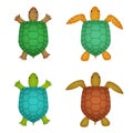 Turtle and tortoise in realistic style, top view