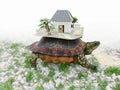 Turtle with toy house from paper real estate business concept