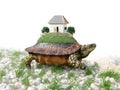 Turtle with toy house from paper real estate business concept