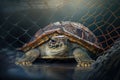 Turtle trapped in fishing net. Eocoly concept, Generative AI