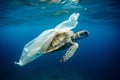 Turtle trapped in plastic garbage floating in the North Pacific, underwater photography. The concept of an ecological disaster