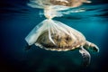 Turtle trapped in plastic garbage floating in the North Pacific, underwater photography.