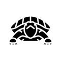 turtle tropical glyph icon vector illustration