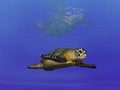 Turtle Undersea