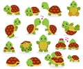 Turtle vector cartoon seaturtle character swimming in sea and playing tortoise in tortoise-shell illustration set of