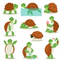Turtle vector cartoon seaturtle character swimming in sea and sleeping tortoise in tortoise-shell illustration set of Royalty Free Stock Photo