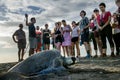 Turtle watching - tourist group